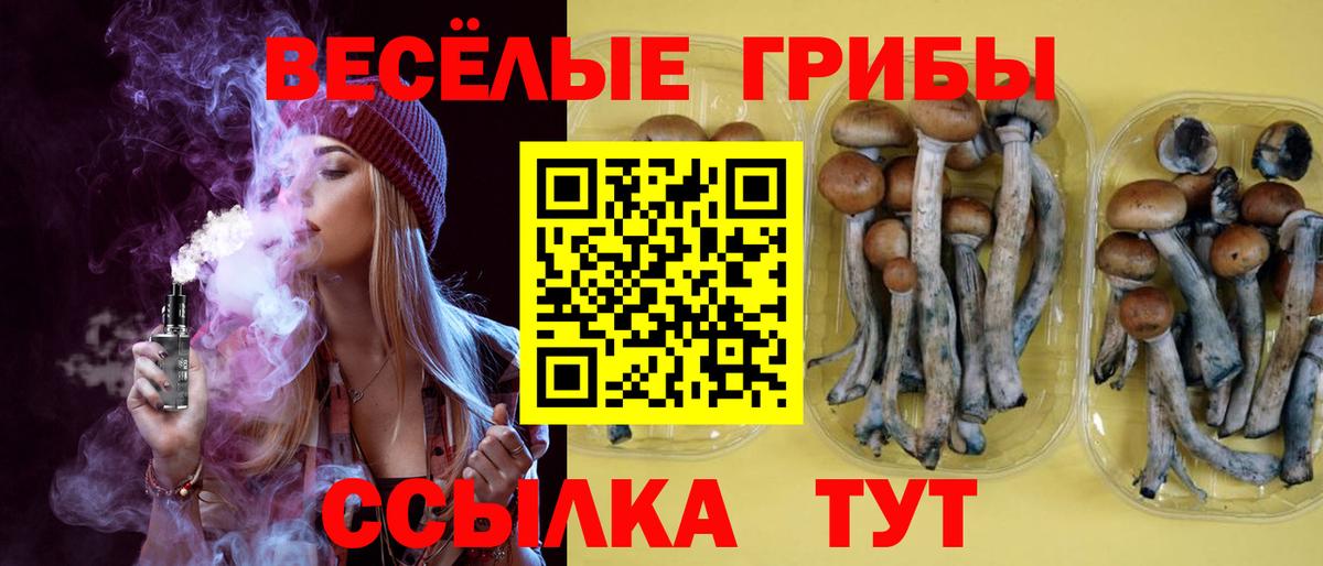 Галлюциногенные грибы ЛСД  Вход с VPN  Галлюциногенные грибы ЛСД  Малоярославец 